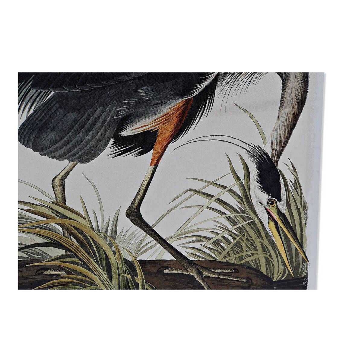 Lienzo DKD Home Decor Heron Pino Lienzo 50 x 1,8 x 70 cm