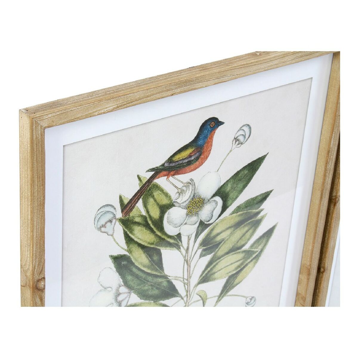Cuadro DKD Home Decor Bird Cristal Abeto 55 x 2,5 x 70 cm (4 Piezas)
