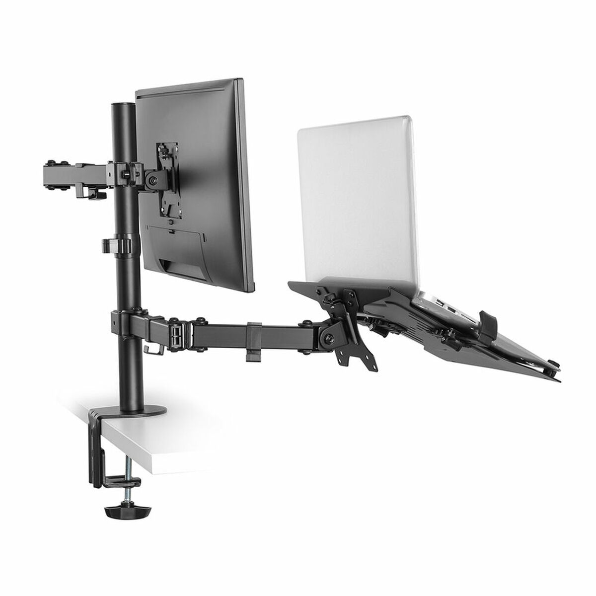 Soporte TV Neomounts FPMA-D550NOTEBOOK   