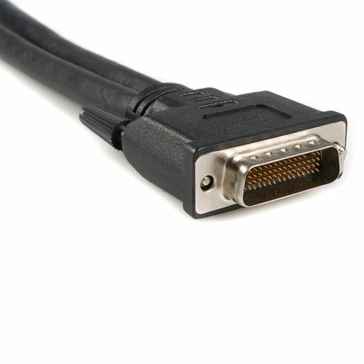 Cable DMS-59 a VGA Startech DMSVGAVGA1           Negro 0,2 m