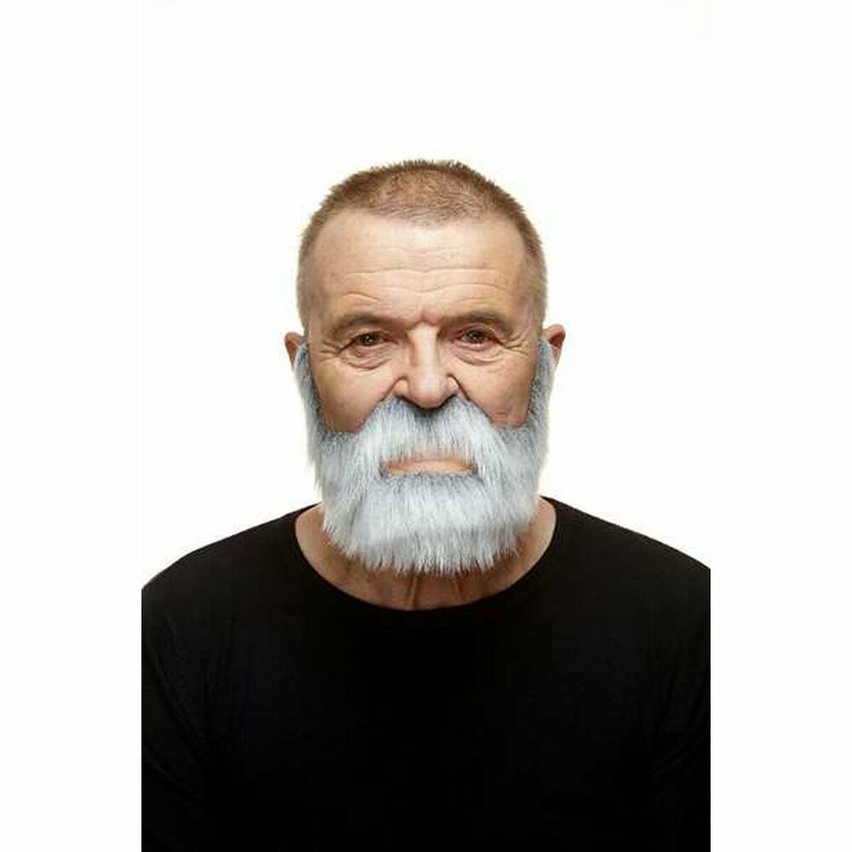 Barba postiza My Other Me Gris