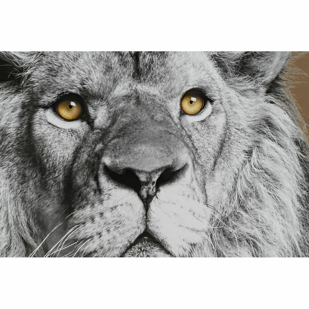 Cuadro DKD Home Decor Cristal Poliestireno 67 x 3 x 93 cm (3 Piezas)