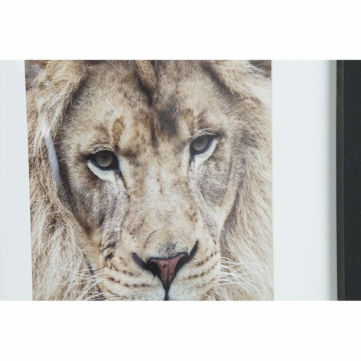 Cuadro DKD Home Decor Poliestireno 35 x 2 x 45 cm