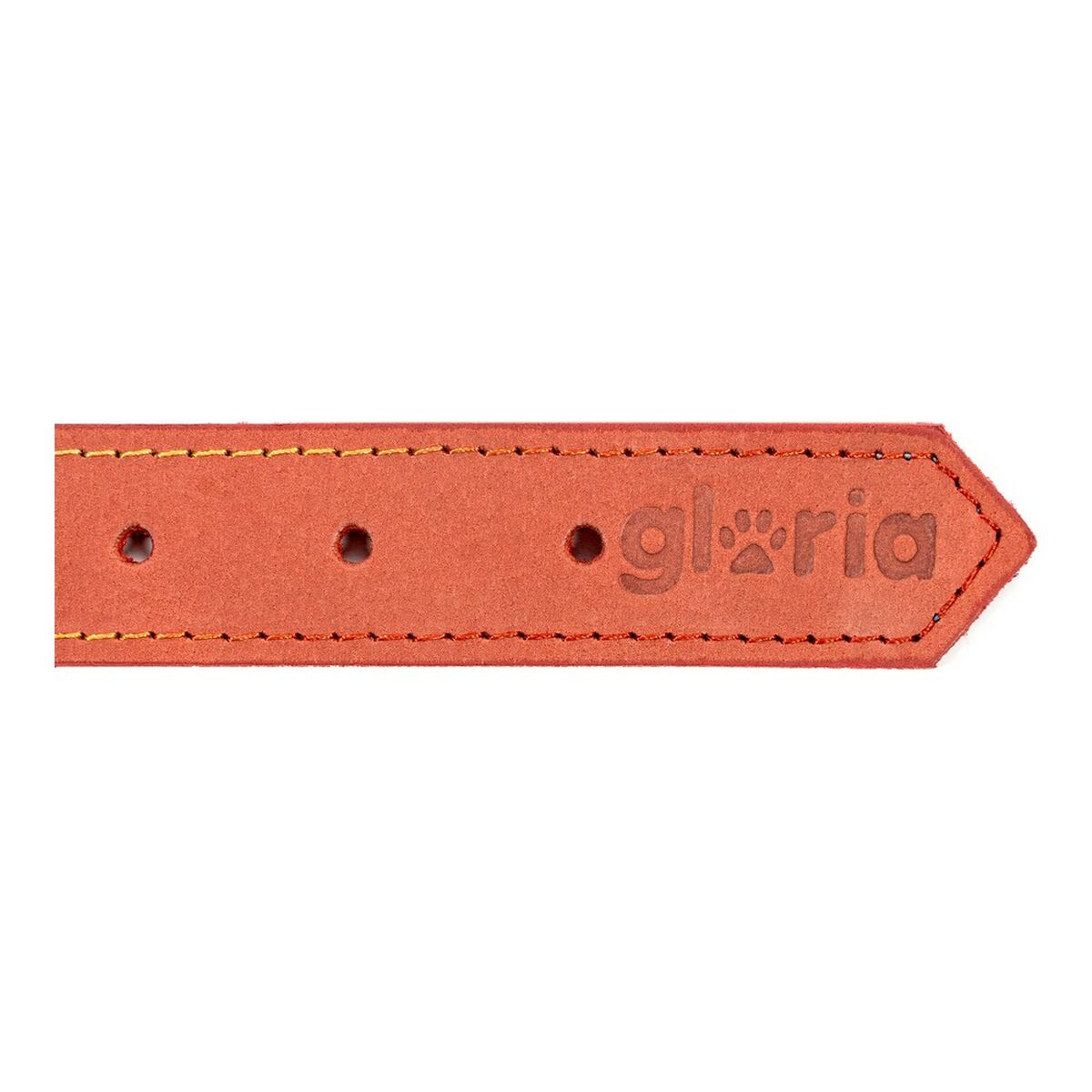 Collar para Perro Gloria Oasis Rojo (1,5 x 40 cm)