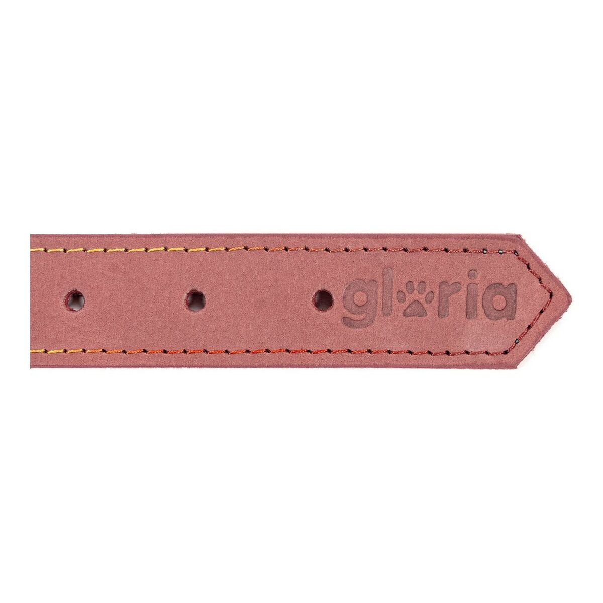 Collar para Perro Gloria Oasis Rosa (1,5 x 40 cm)