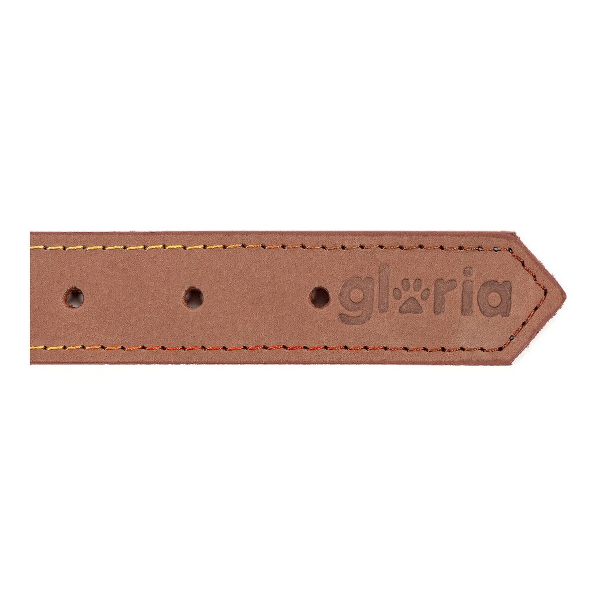 Collar para Perro Gloria Oasis Marrón (65 x 3 cm)