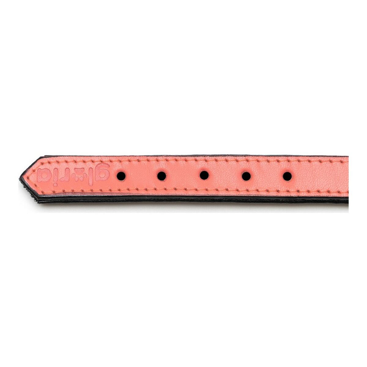 Collar para Perro Gloria Acolchado Coral (30 x 1,5 cm)