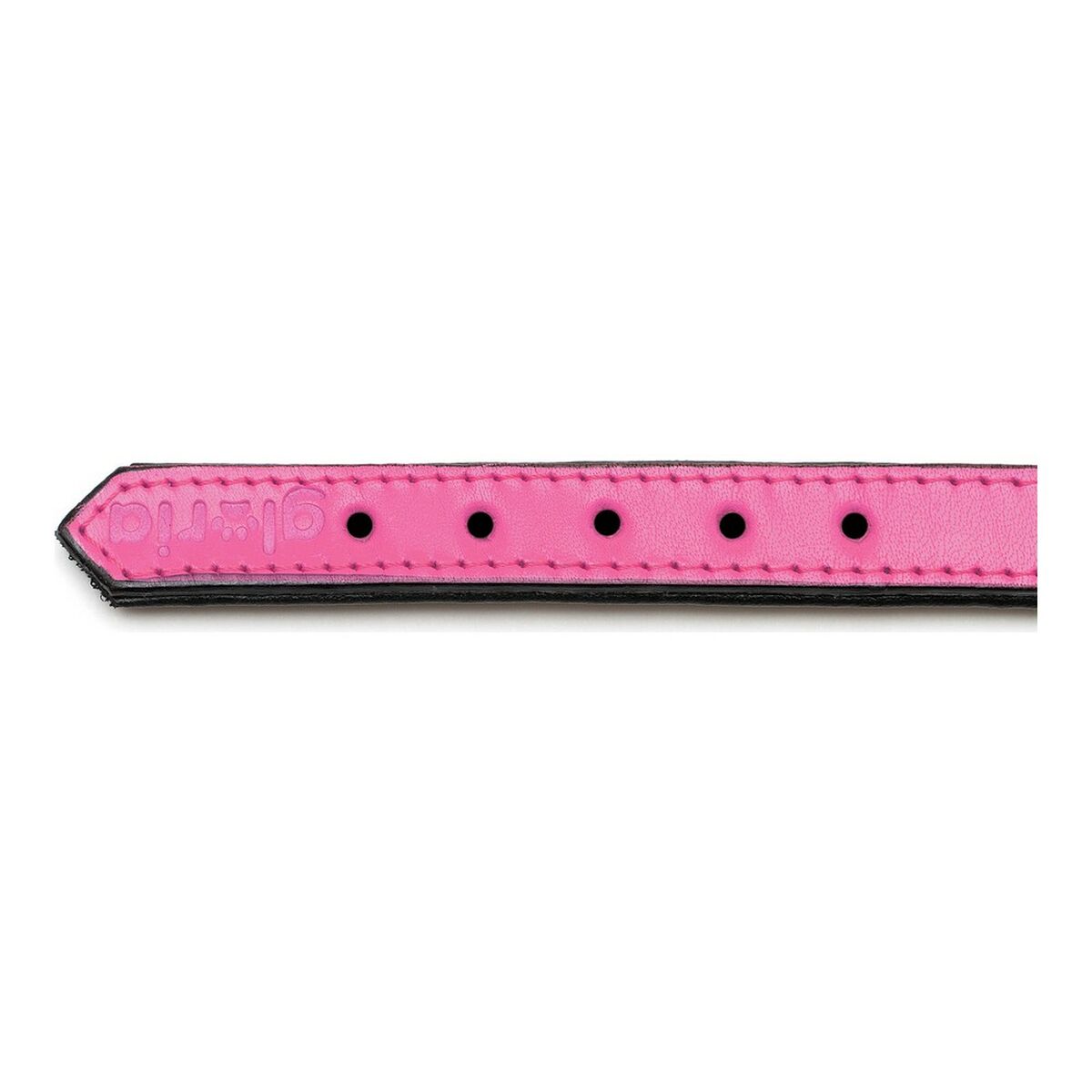 Collar para Perro Gloria Acolchado Fucsia (30 x 1,5 cm)