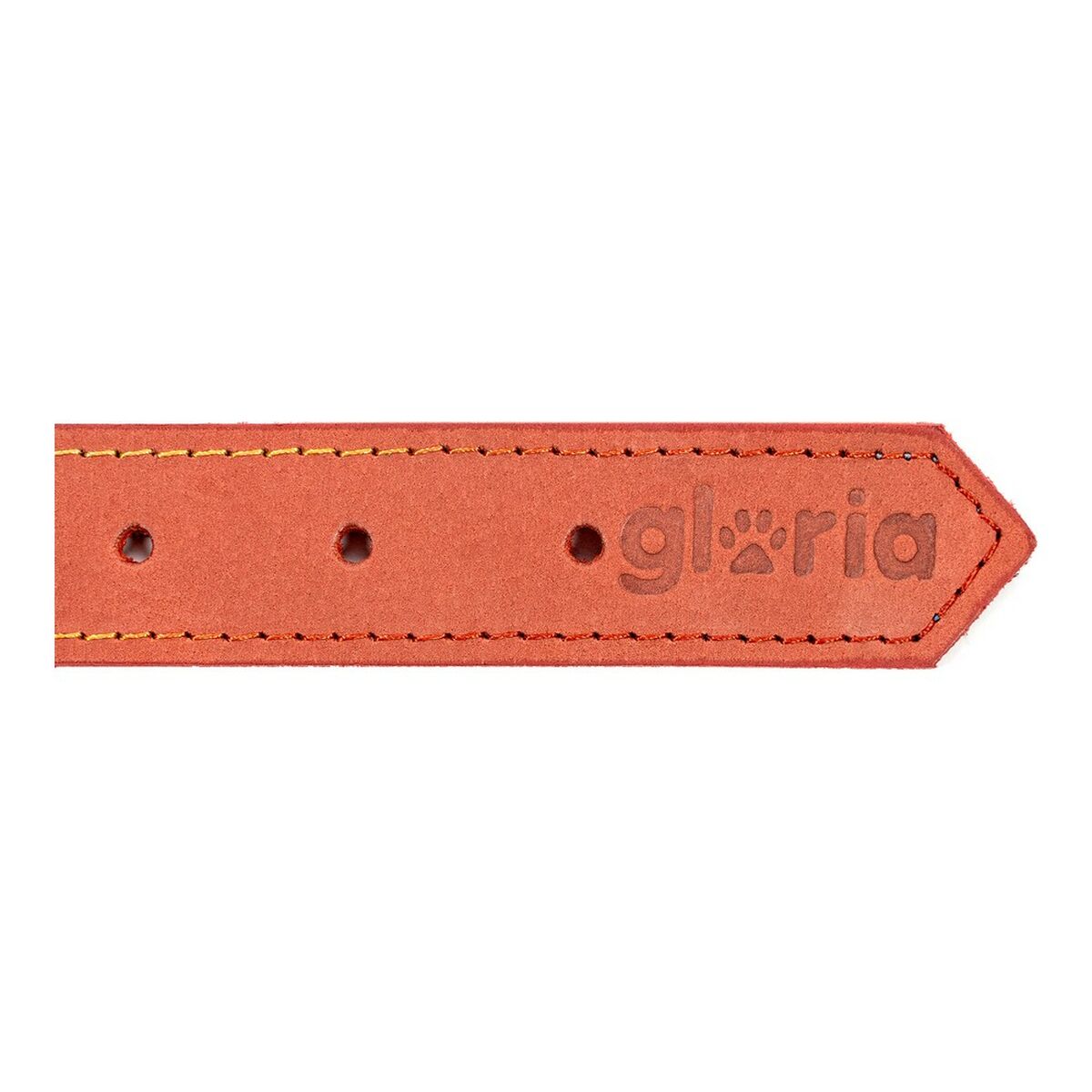 Collar para Perro Gloria Oasis Rojo (55 x 2,5 cm)