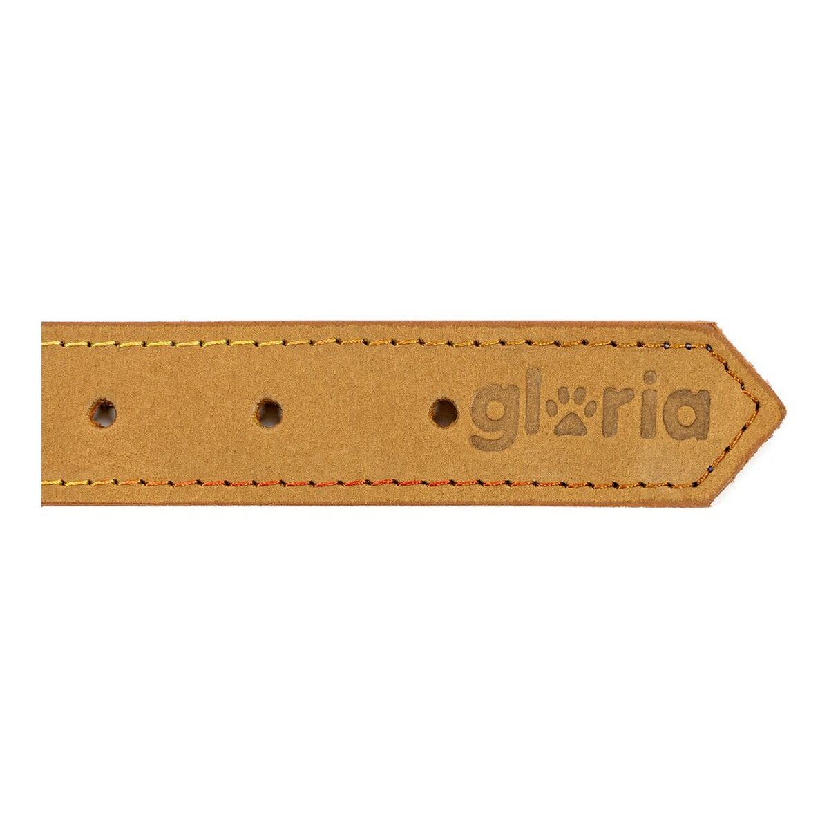 Collar para Perro Gloria Oasis Amarillo (35 x 1,2 cm)