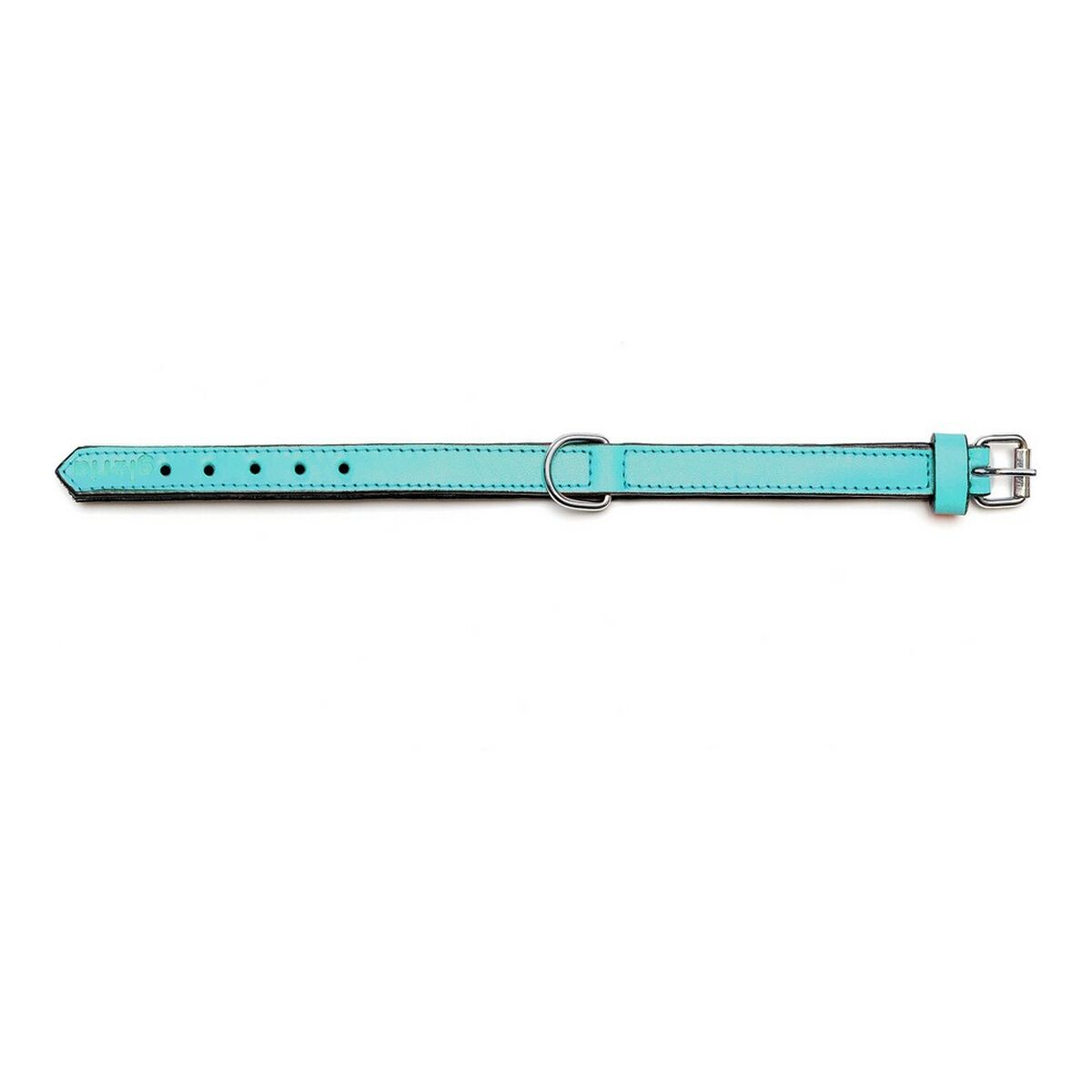 Collar para Perro Gloria Acolchado Turquoise 55 cm (55 x 2,5 cm)