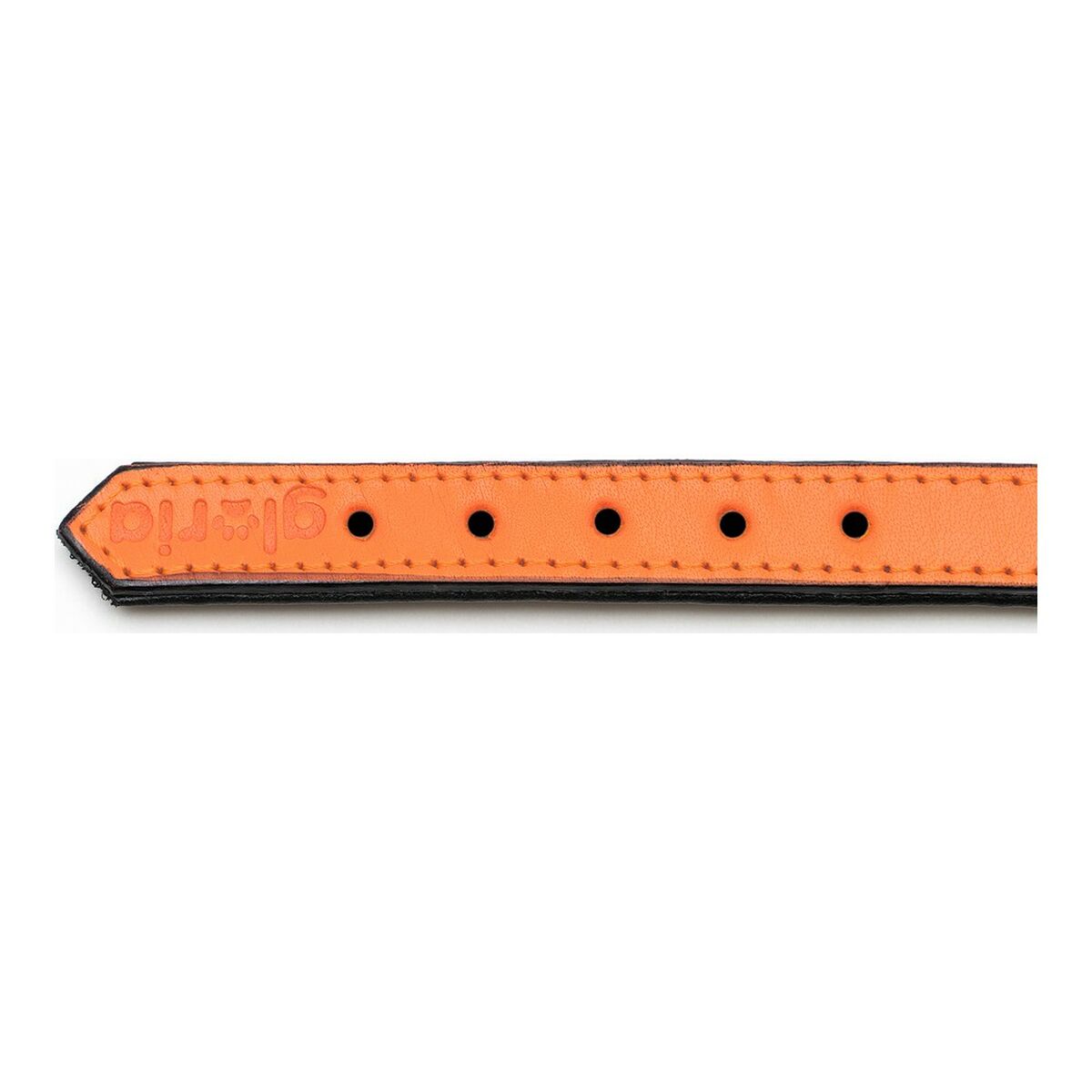 Collar para Perro Gloria Acolchado Naranja (45 x 2 cm)