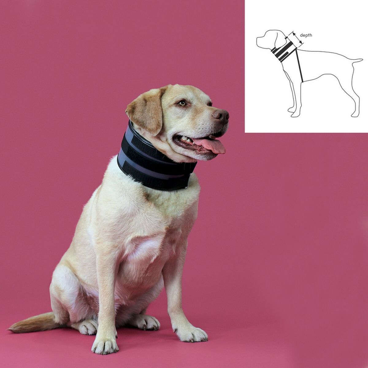 Collarín Cervical para Perros KVP Negro (10-41 cm)