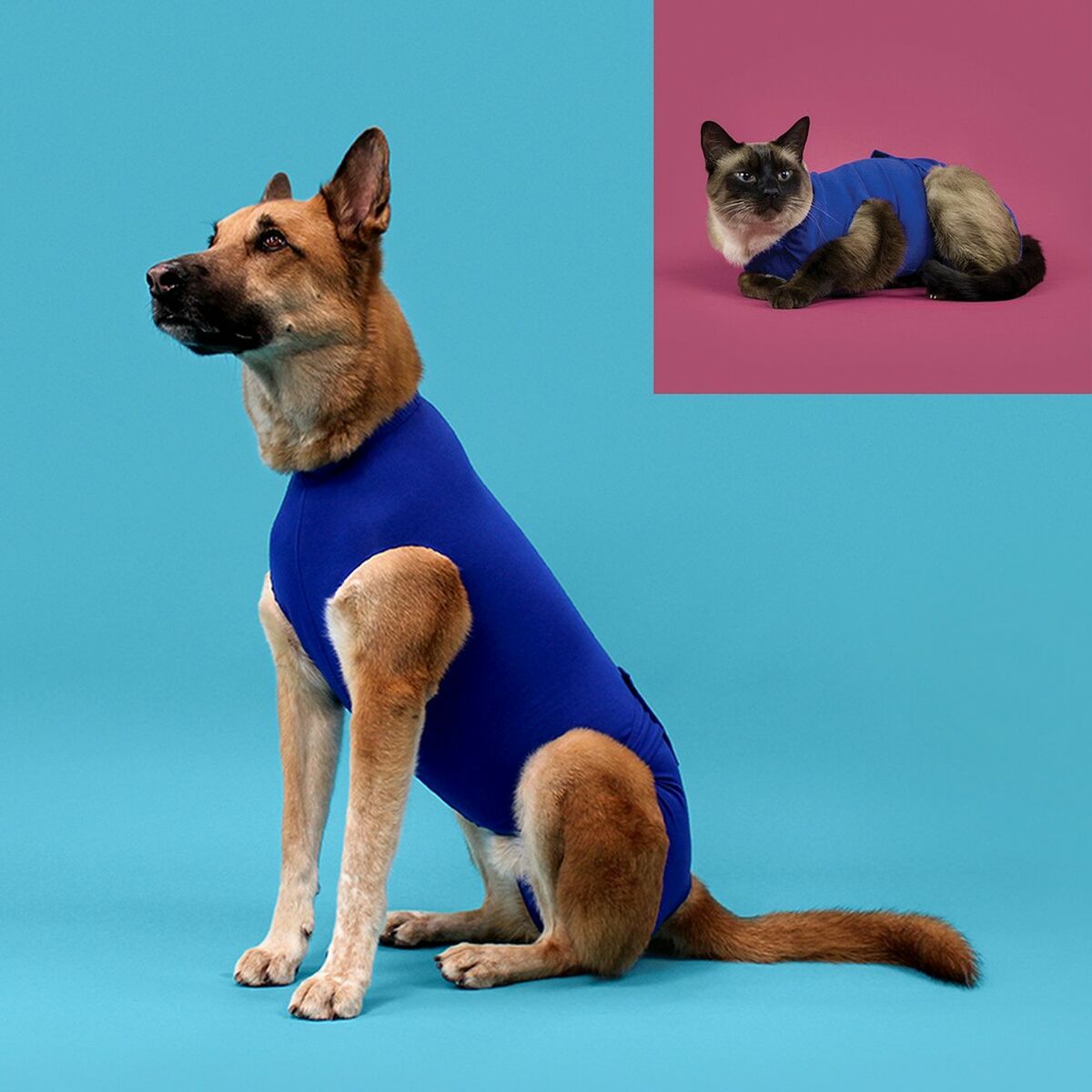 Camiseta de Recuperación para Mascotas KVP 45-53 cm Azul