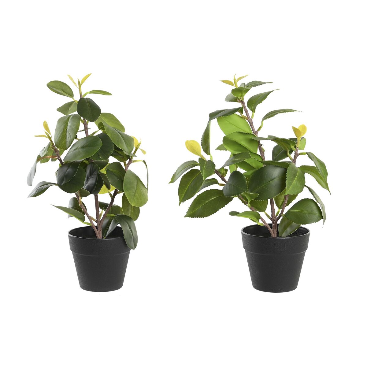 Planta Decorativa DKD Home Decor Verde PP PE Ficus (2 Unidades) (21 x 18 x 30 cm)