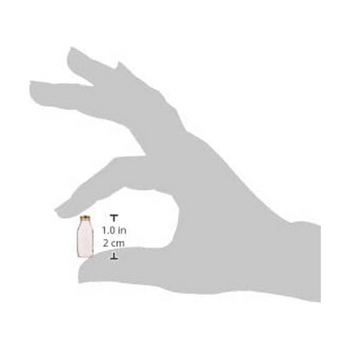 Botella Bormioli Rocco Quattro Stagioni Transparente Vidrio 1 L