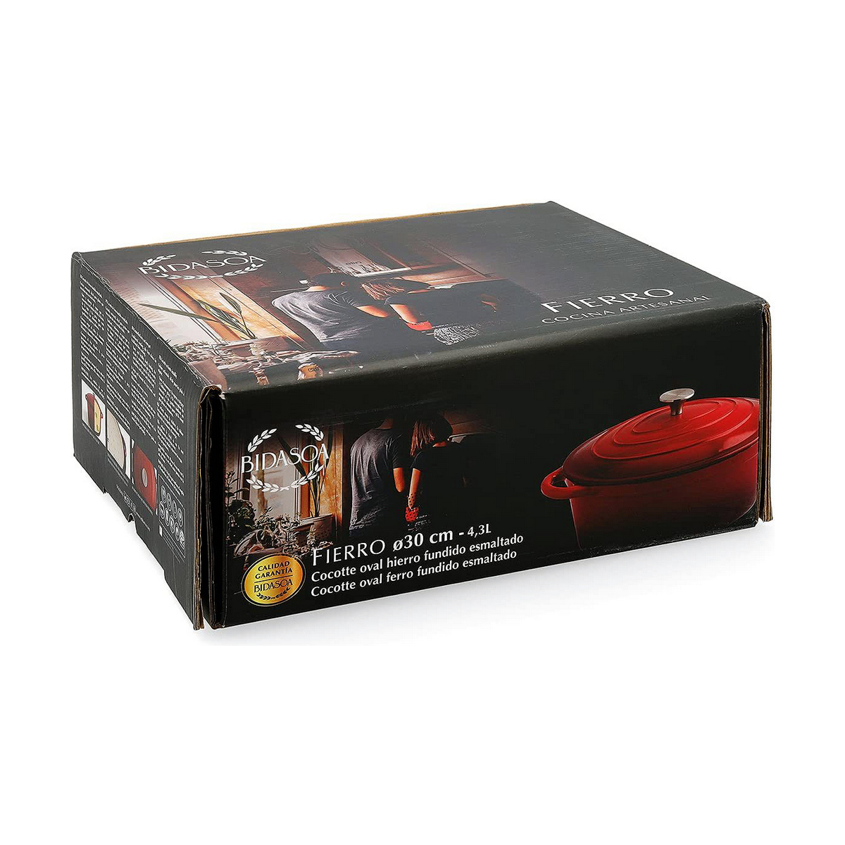 Cacerola Con Tapa Bidasoa Rojo Metal (4,3 L)