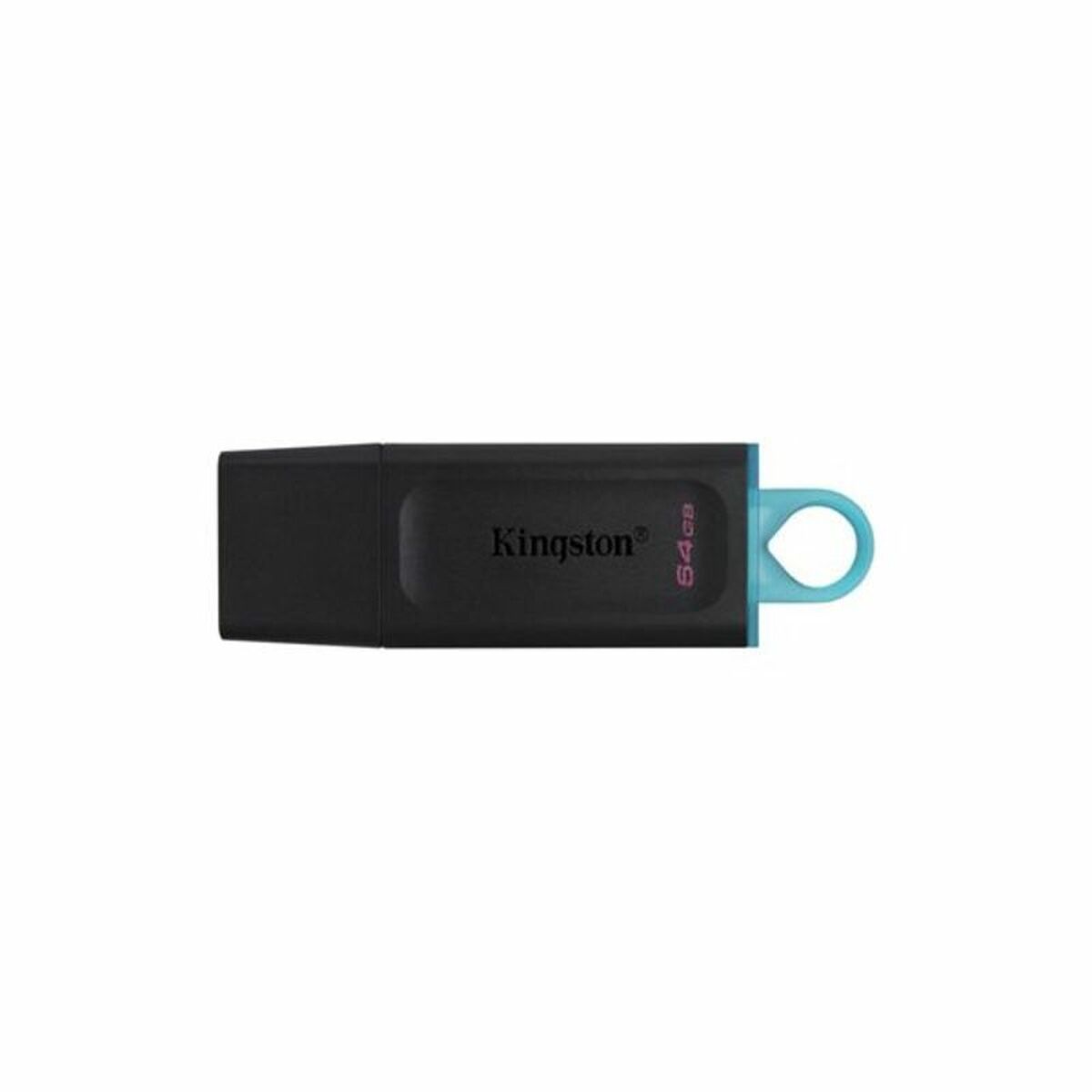 Memoria USB Kingston DataTraveler DTX Negro Memoria USB