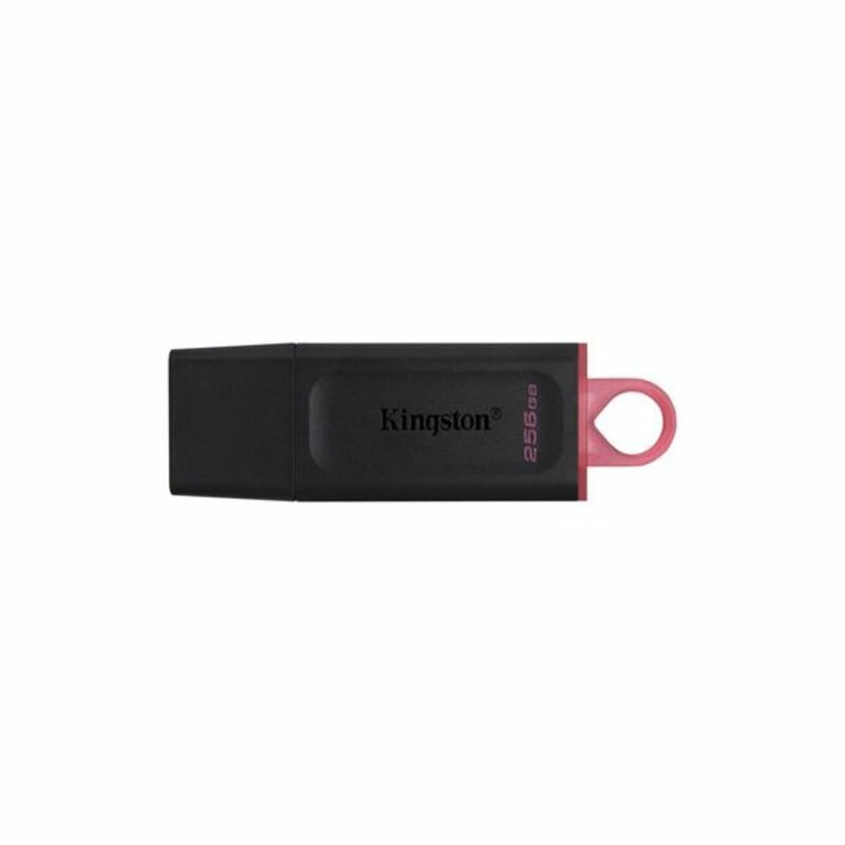 Memoria USB Kingston DataTraveler DTX Negro Memoria USB