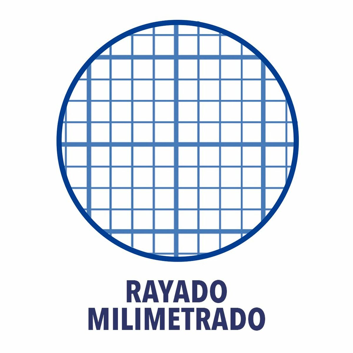 Cuaderno Oxford Write&Erase Multicolor Din A4 80 Hojas 21,5 x 31,5 cm 5 Piezas