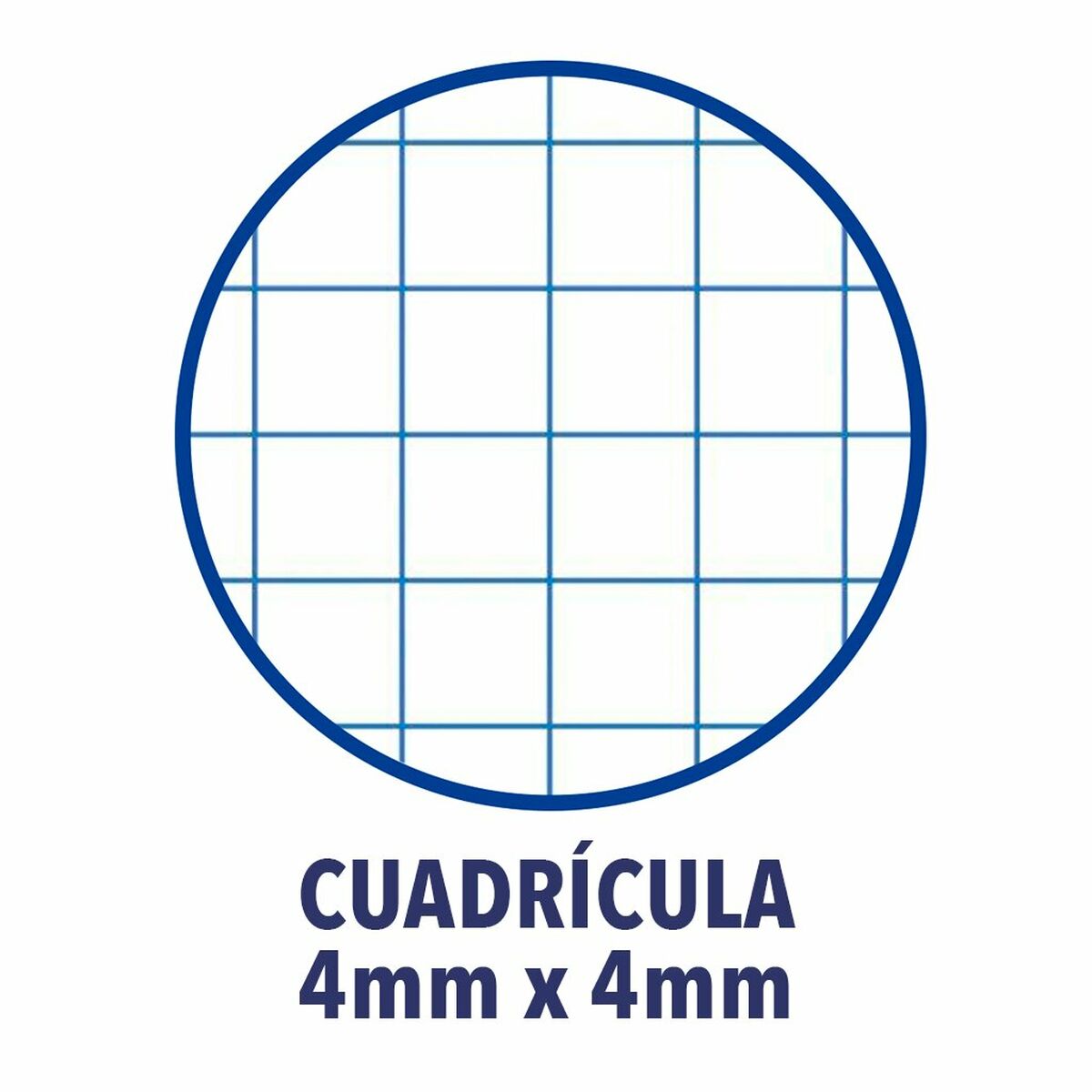 Cuaderno Oxford Multicolor Din A4 80 Hojas 21,5 x 31,5 cm 5 Piezas