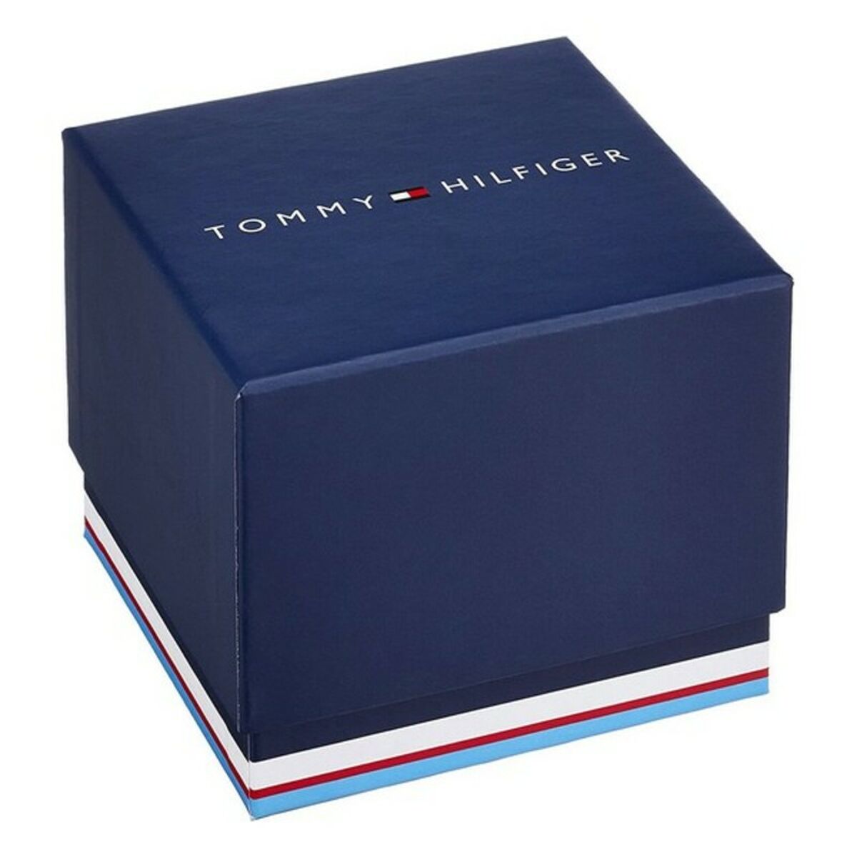 Reloj Hombre Tommy Hilfiger DAMON (Ø 46 mm)