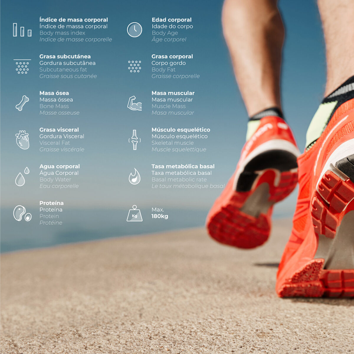 Báscula Digital de Baño EDM 07613 Body Composition Negro 180 kg