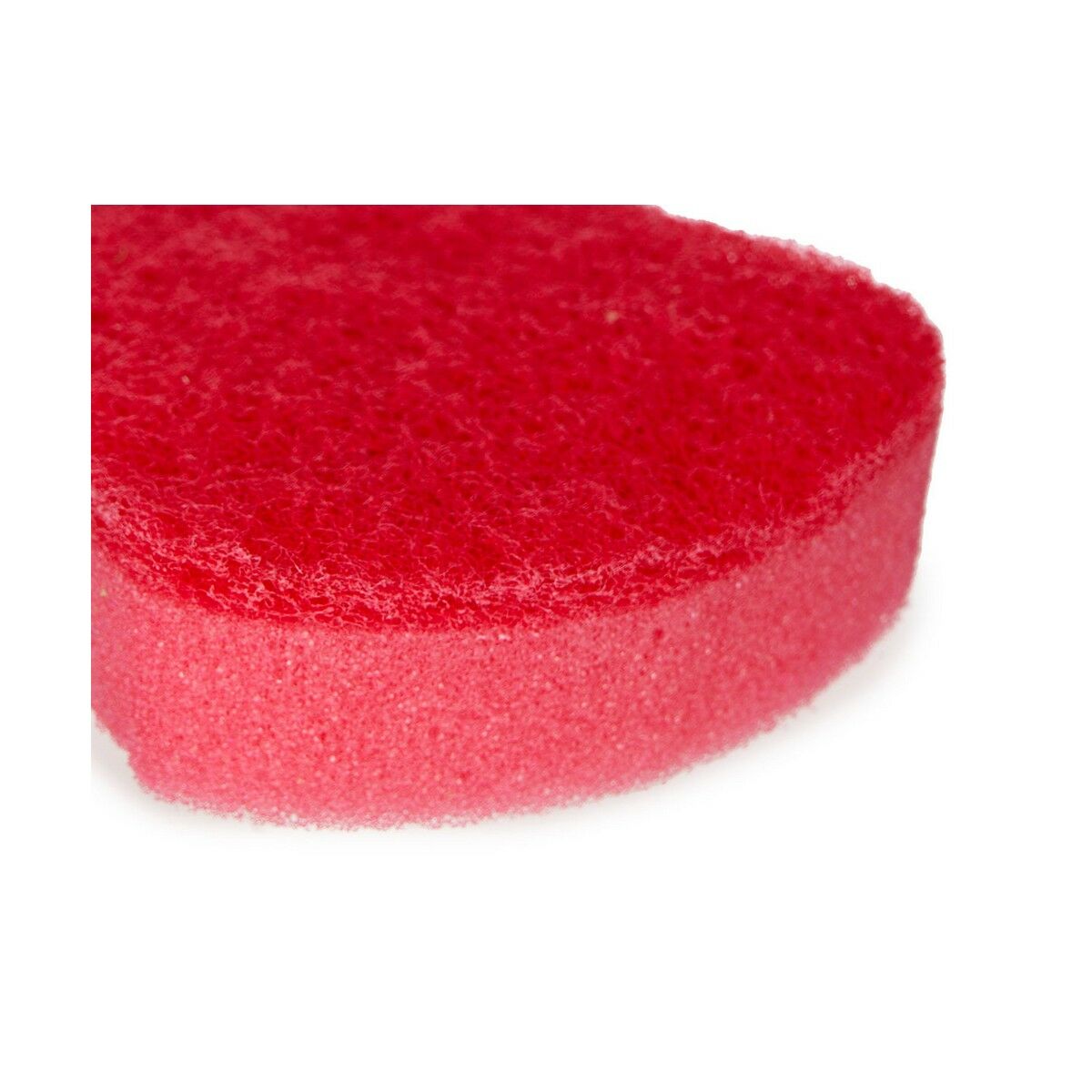 Set de Estropajos Multicolor Poliuretano Fibra abrasiva 7 X 10 X 2,5 cm (20 Unidades)