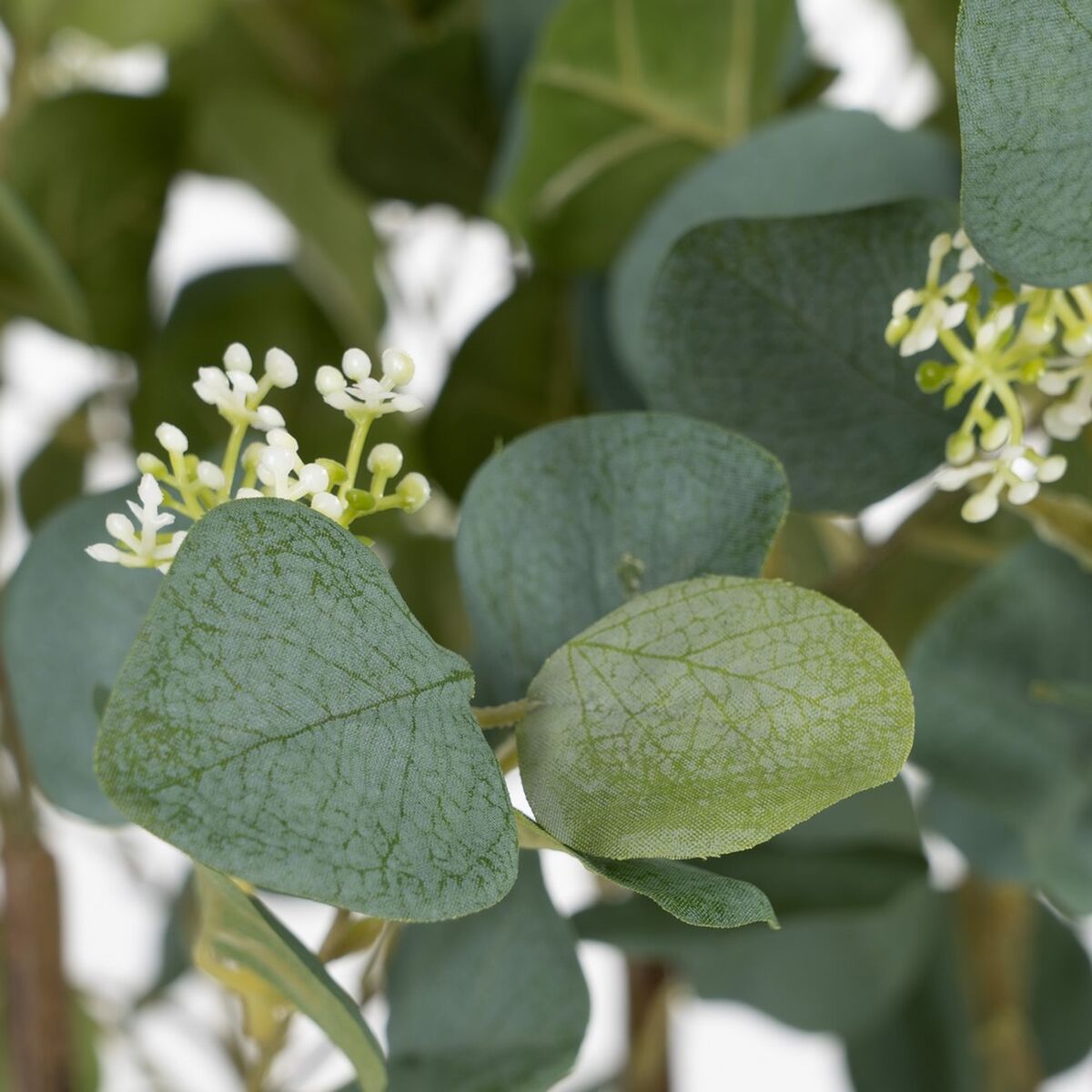 Planta Decorativa 80 x 75 x 173 cm Verde PVC Eucalipto