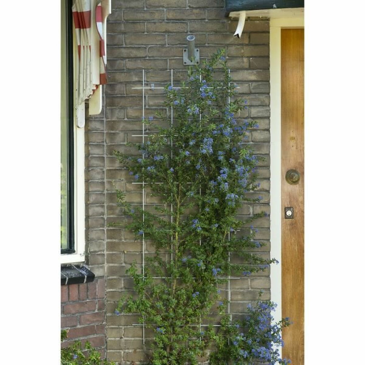 Separador Nature 42,5 x 145 cm Gris