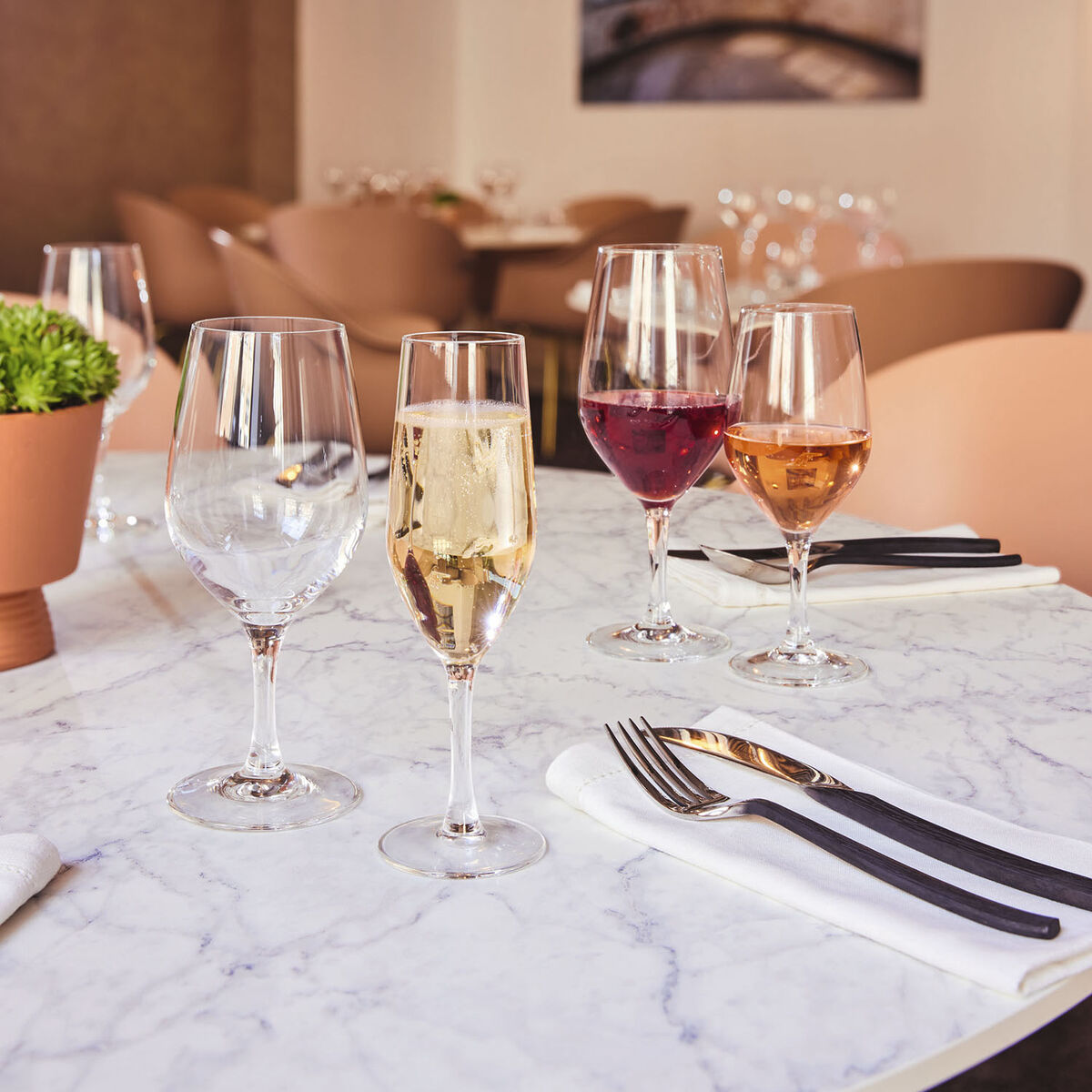 Set de copas de vino Chef & Sommelier Evidence Transparente Vidrio 270 ml Vino 6 Unidades