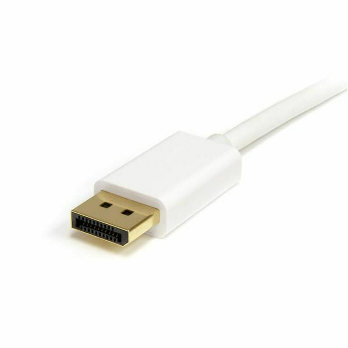 Cable DisplayPort Mini a DisplayPort Startech MDP2DPMM2MW          (2 m) Blanco 4K Ultra HD