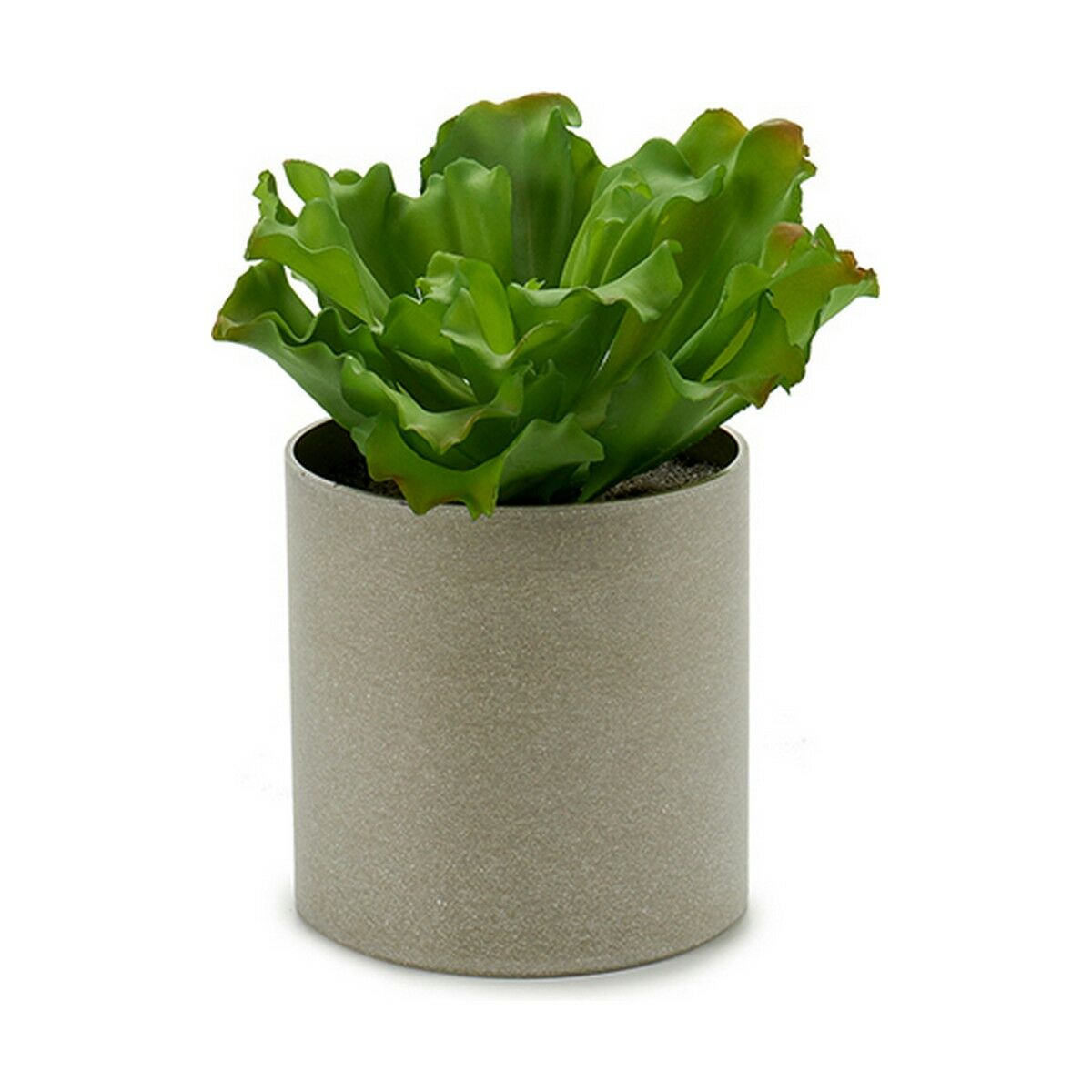 Planta Decorativa Ibergarden 20 x 25 x 20 cm (6 Unidades)