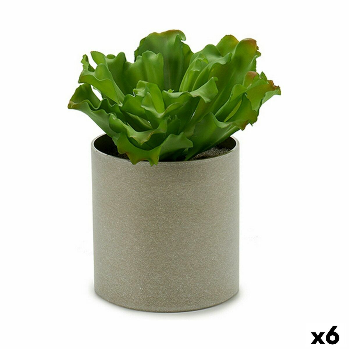 Planta Decorativa Ibergarden 20 x 25 x 20 cm (6 Unidades)