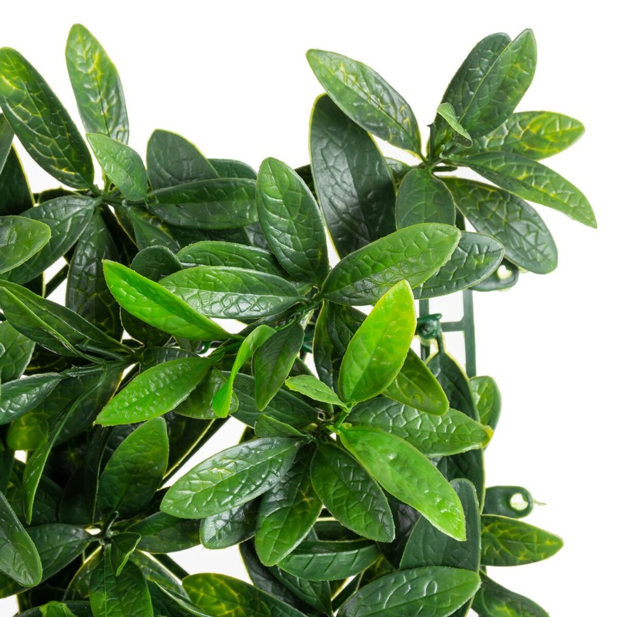 Valla   Hojas 50 x 50 x 2 cm