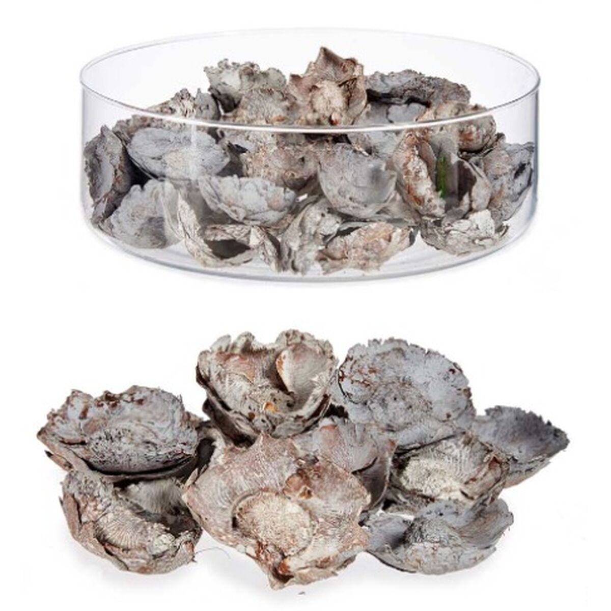 Flores Decorativas Gift Decor Natural 9 x 27 x 9 cm (12 Unidades)