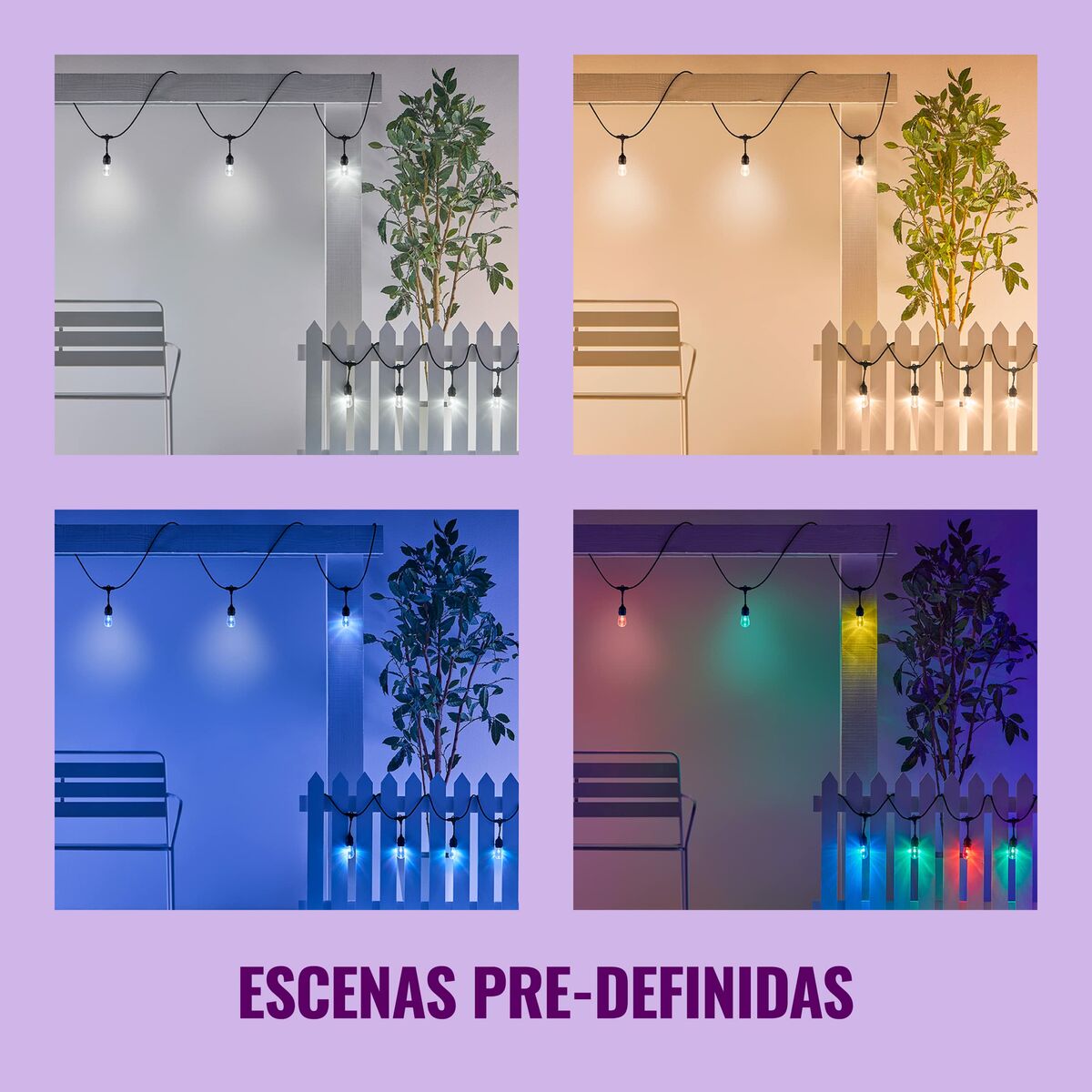Guirnalda de Luces LED Wiz   Multicolor 8 W