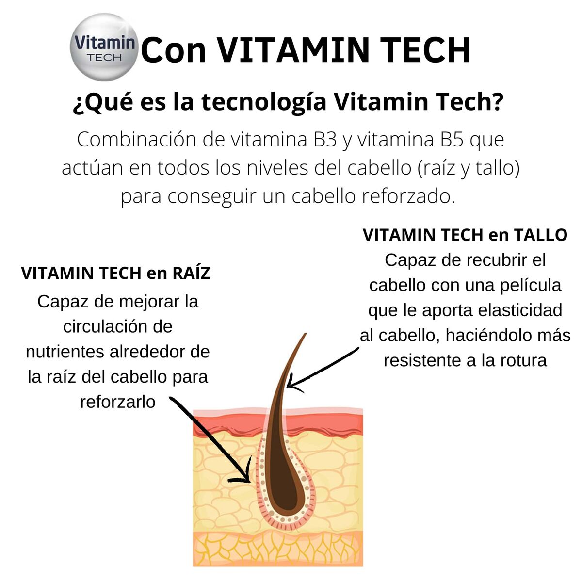 Gel Fijador Giorgi Nº3 240 ml