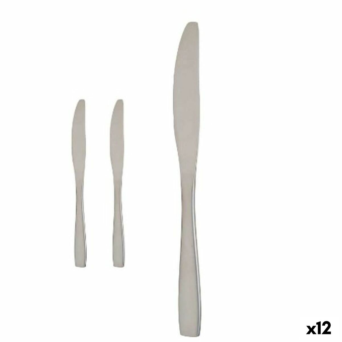 Set de Cuchillos Kinvara Plateado Acero Inoxidable 55,5 x 2 x 0,5 cm 6 x 24,5 x 1 cm 2 x 22,5 x 0,3 cm (12 Unidades)