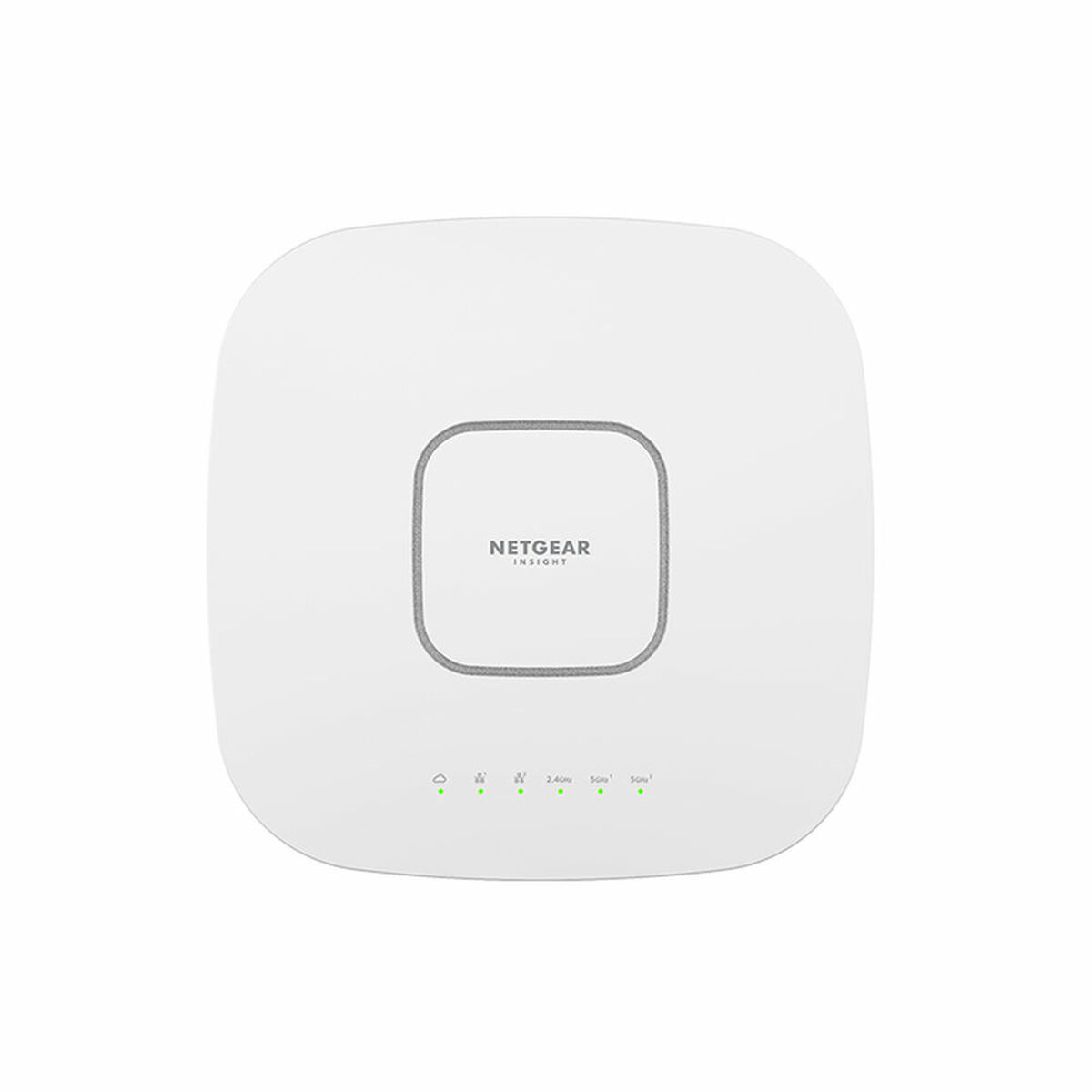 Punto de Acceso Netgear WAX630-100EUS        Blanco
