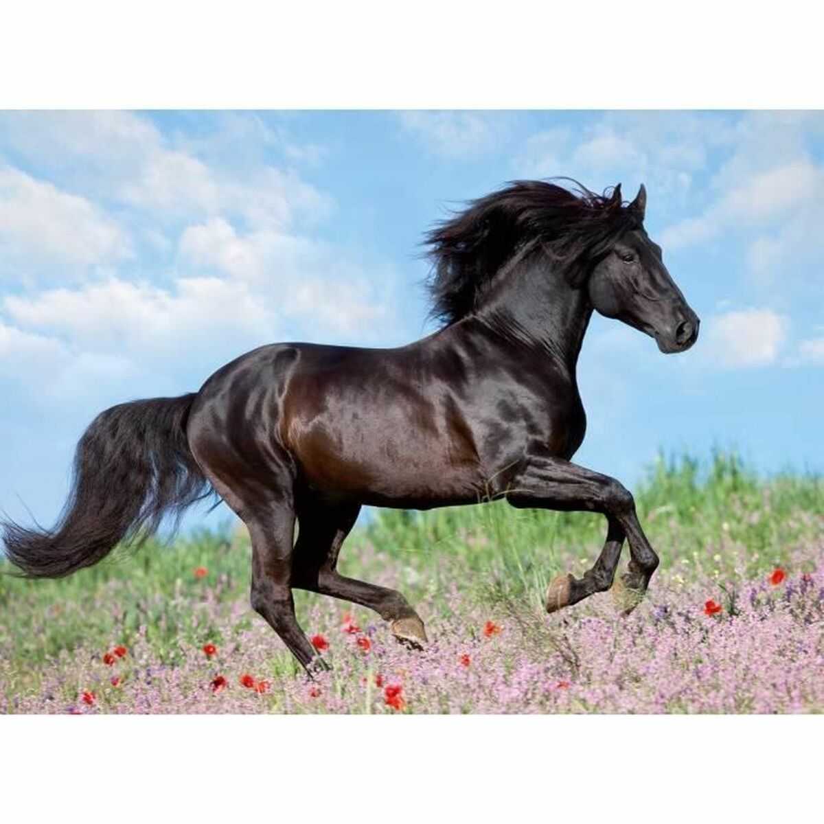 Puzzle Ravensburger 12803 Black Stallion XXL 200 Piezas
