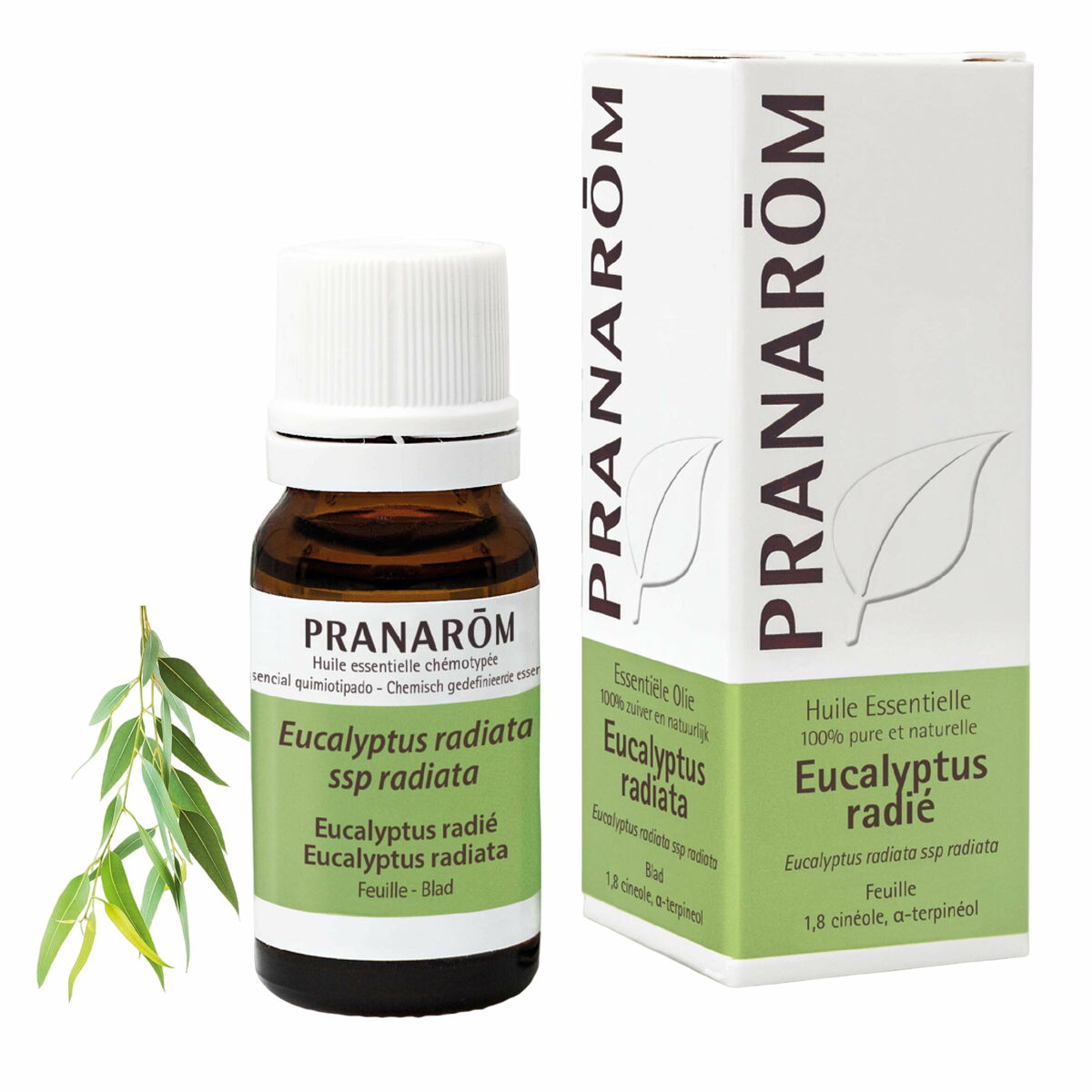 Aceite Esencial Pranarôm   Eucalipto 10 ml