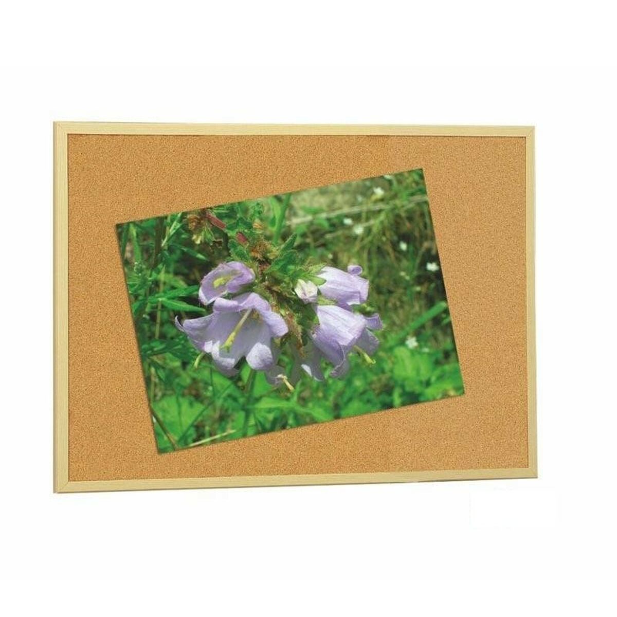 Tablero de Corcho Faibo Madera Marrón 60 x 90 cm (5 Unidades)