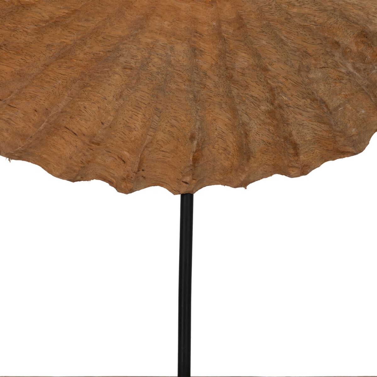 Figura Decorativa Beige Caracola 49,5 x 9 x 53,5 cm
