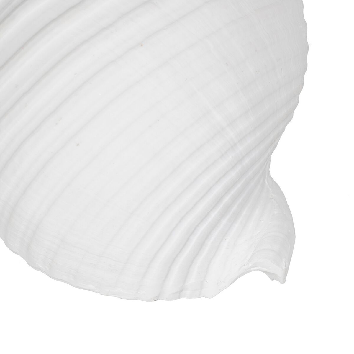 Figura Decorativa Blanco Caracola 11 x 9 x 8 cm