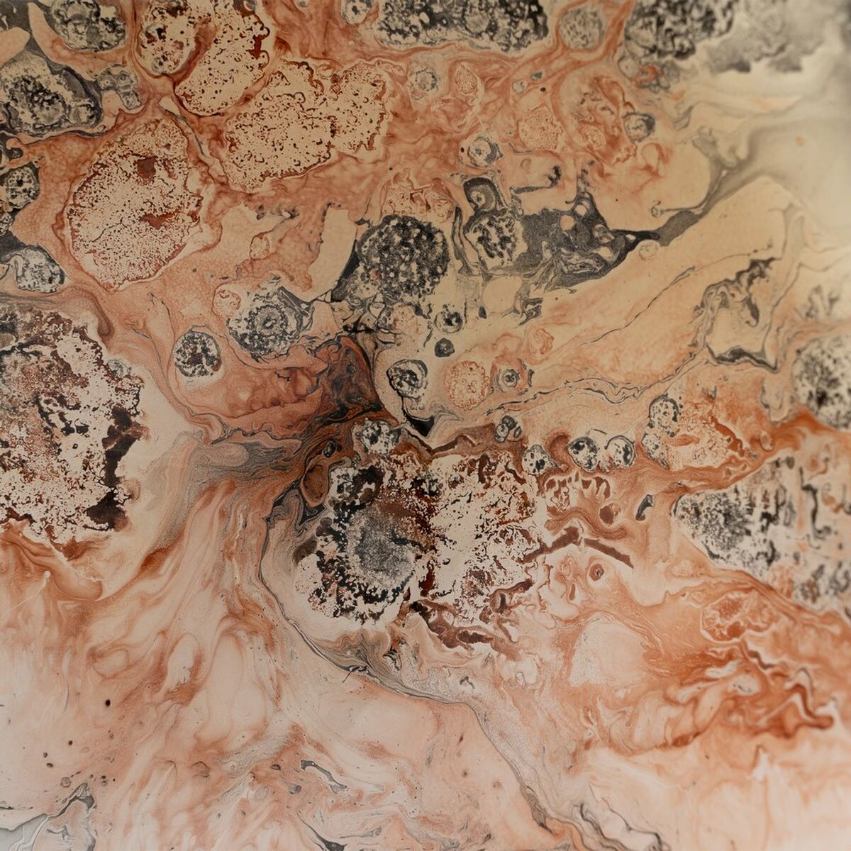 Centro de Mesa Salmón Cristal 28 x 28 x 12 cm