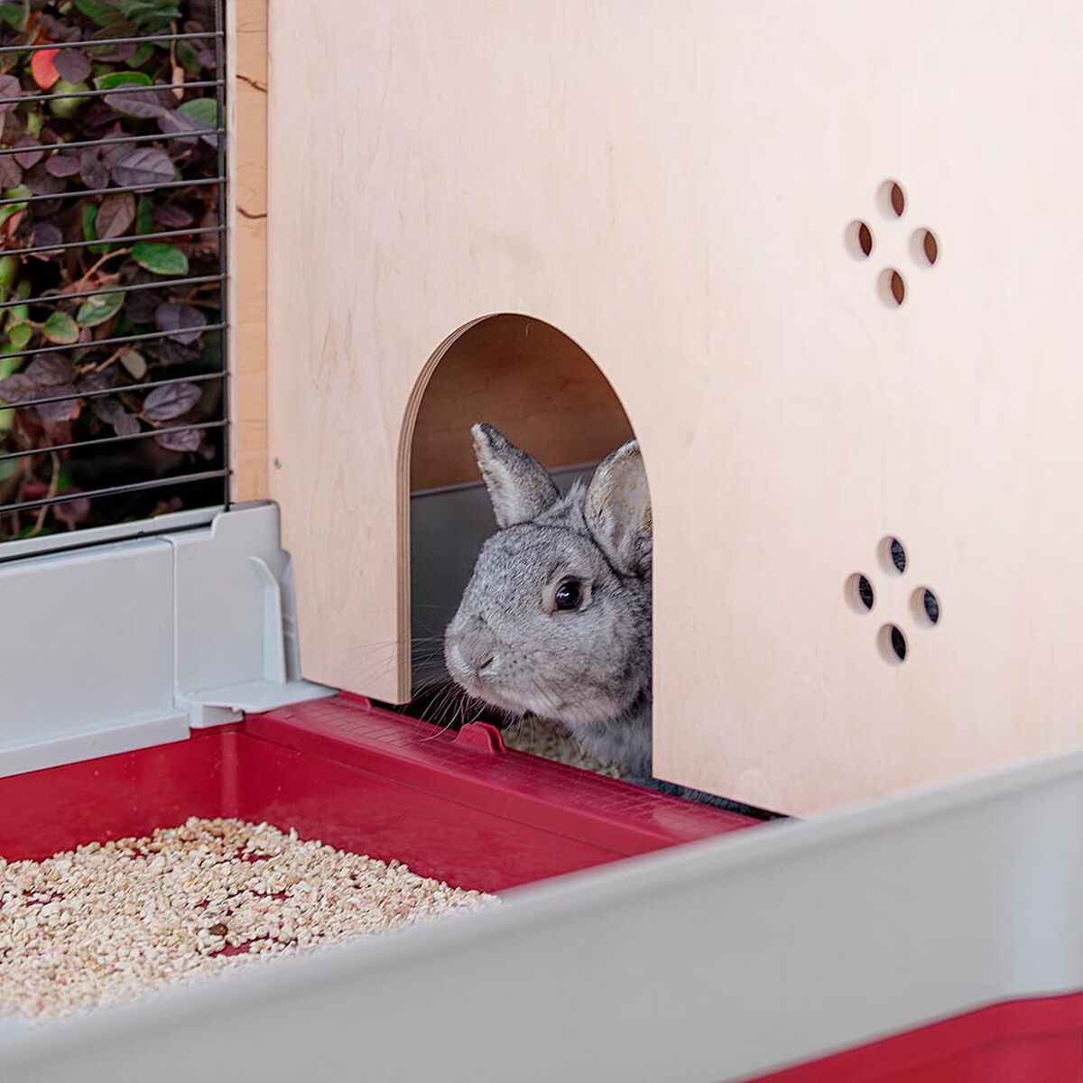 Jaula Ferplast Krolik 140 Plus Metal Plástico 142 x 50 x 60 cm