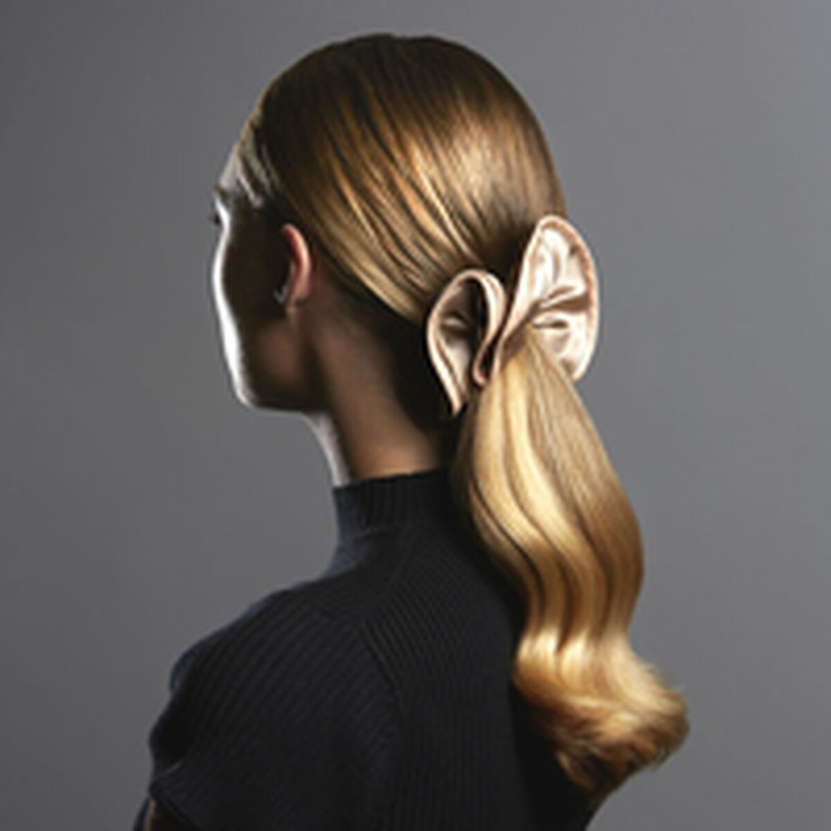 Cepillo Desenredante Sisley Hair Rituel Negro