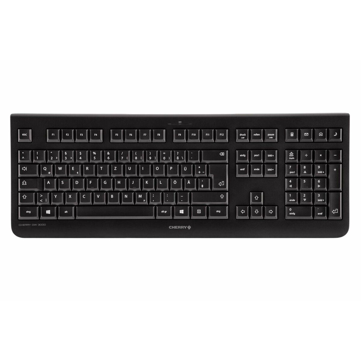 Teclado y Ratón Cherry DW3000 Qwertz Alemán Negro