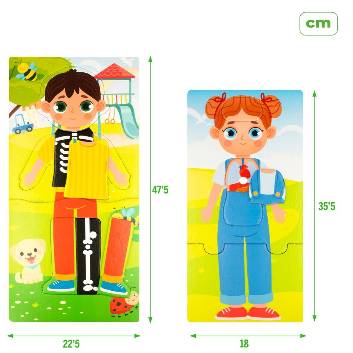 Juego Educativo Lisciani Giochi Baby Doctor 22,5 x 0,5 x 47,5 cm (6 Unidades)